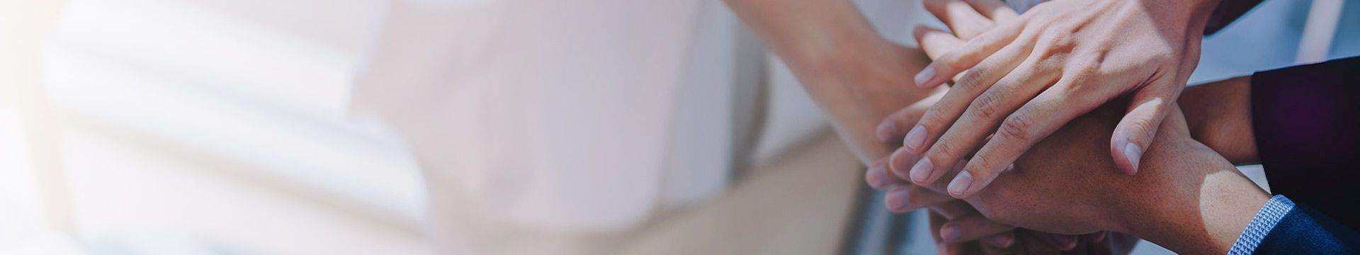 主要领域